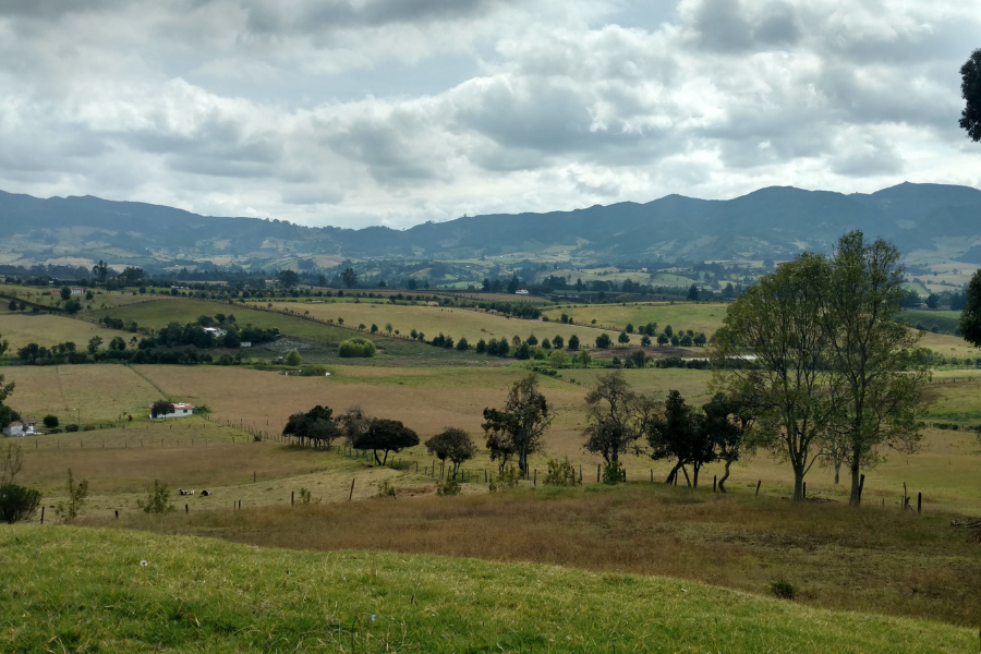 Área Rural